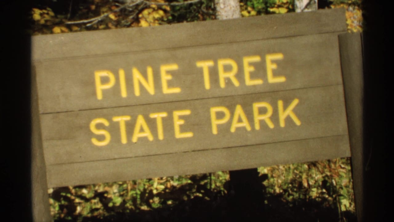 Pine Tree State Park sign repeated in a soft 8mm frame with wooded background.
