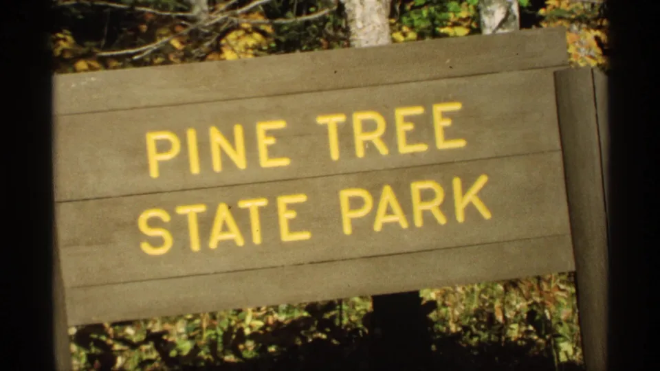 Angled 8mm view of the Pine Tree State Park sign in Wisconsin, with bold yellow lettering and autumn woods behind it.