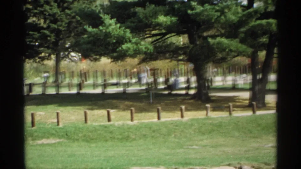 1971 Wisconsin home-movie frame of a quiet park path bordered by wooden posts beneath mature trees and soft summer light.