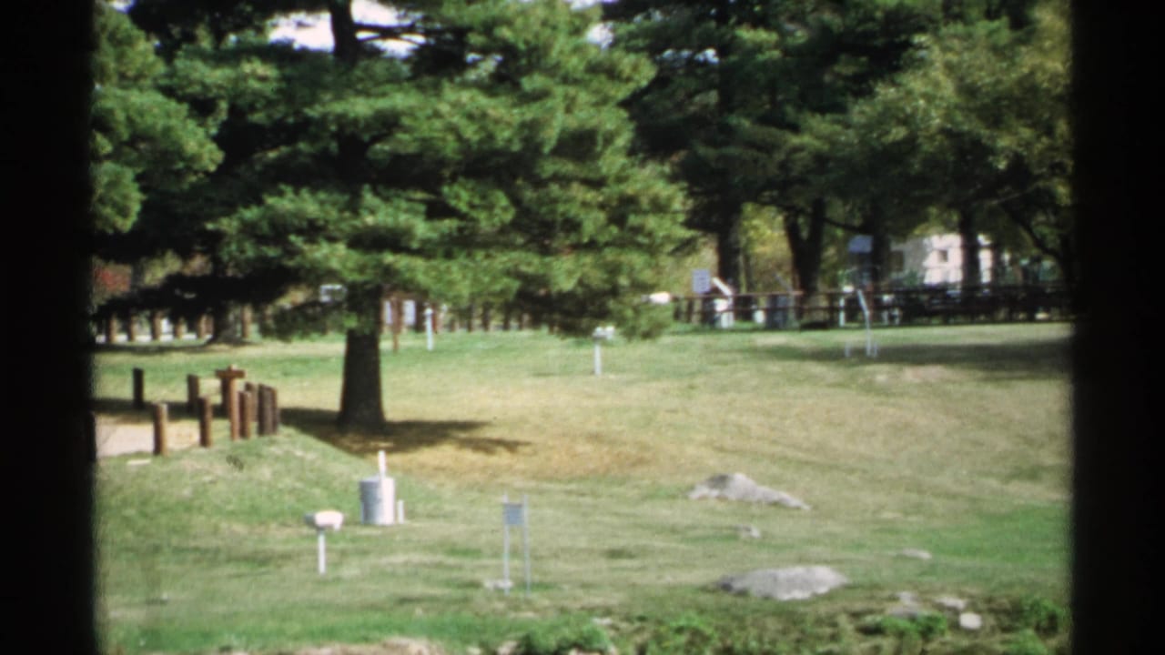 Grassy park area with pine trees, wooden posts, rocks, and dark vertical framing.