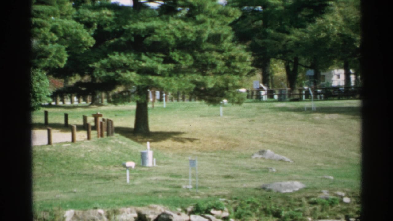 Park lawn with pine trees, wooden posts, small markers, rocks, and dark central framing.
