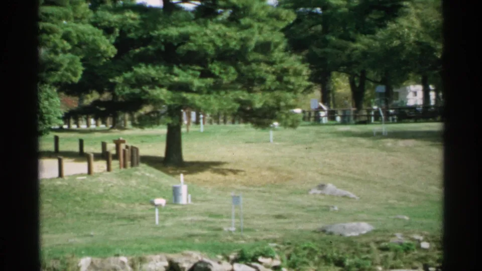 1971 Wisconsin park view framed by dark vertical edges, with pine trees, wooden posts, utility markers, rocks, and mowed grass.