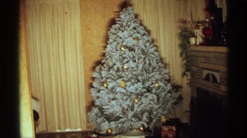 White flocked Christmas tree with gold ornaments stands in a Wisconsin living room, with vertical blinds and a fireplace visible.