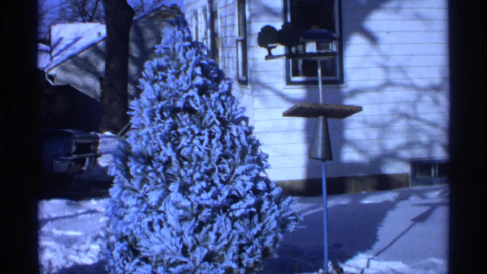 1971 Wisconsin home-movie frame of the tree outside in snow, with house siding, a window, shadows, and a pole bird feeder visible.