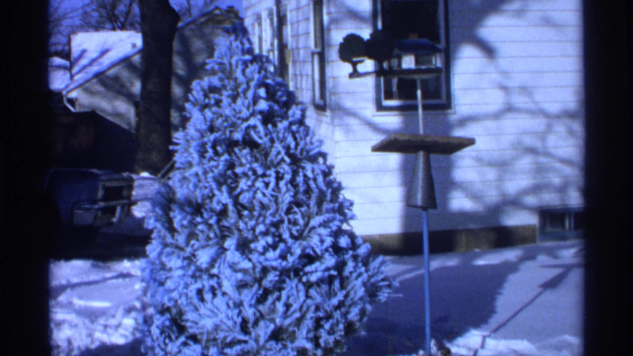 Snow-covered evergreen in front of a white house with a bird feeder nearby.