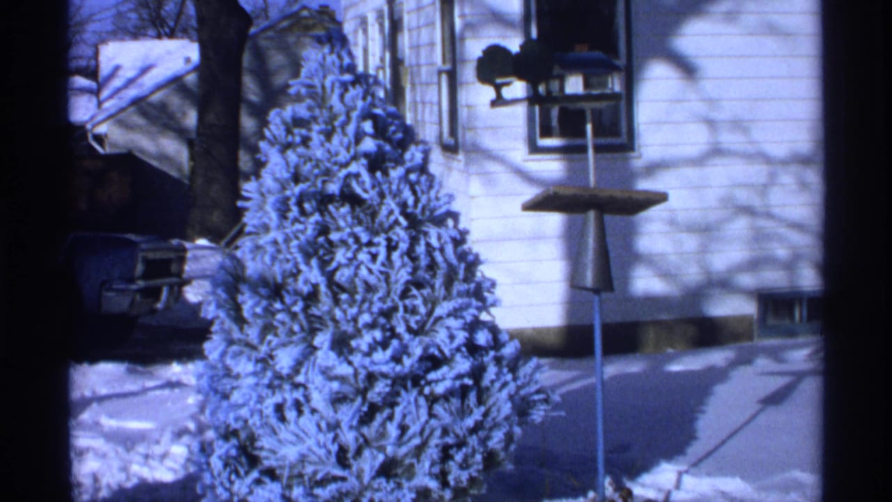 Snowy evergreen framed against a white house and yard bird feeder.