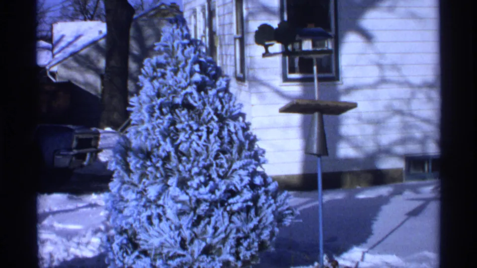 1971 Wisconsin 8mm frame of a snow-coated evergreen in a residential yard, with white siding, a window, and a bird feeder in view.