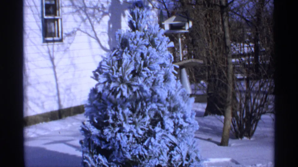 1971 Wisconsin 8mm frame showing a frosted evergreen in a snowy yard, with white house siding, bare branches, and a bird feeder nearby.