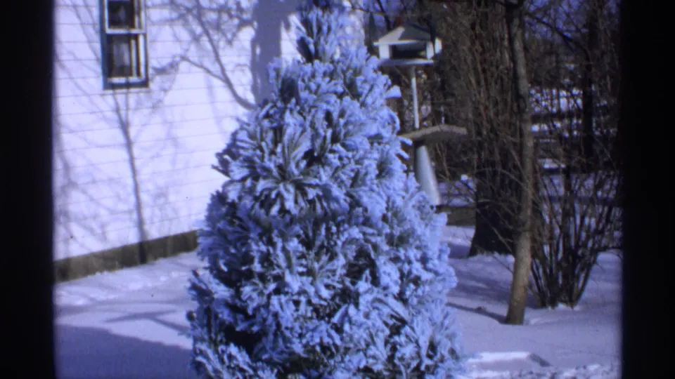 1971 Wisconsin 8mm frame of a snowy evergreen beside a white house, with a bird feeder, bare trees, and deep snow across the yard.