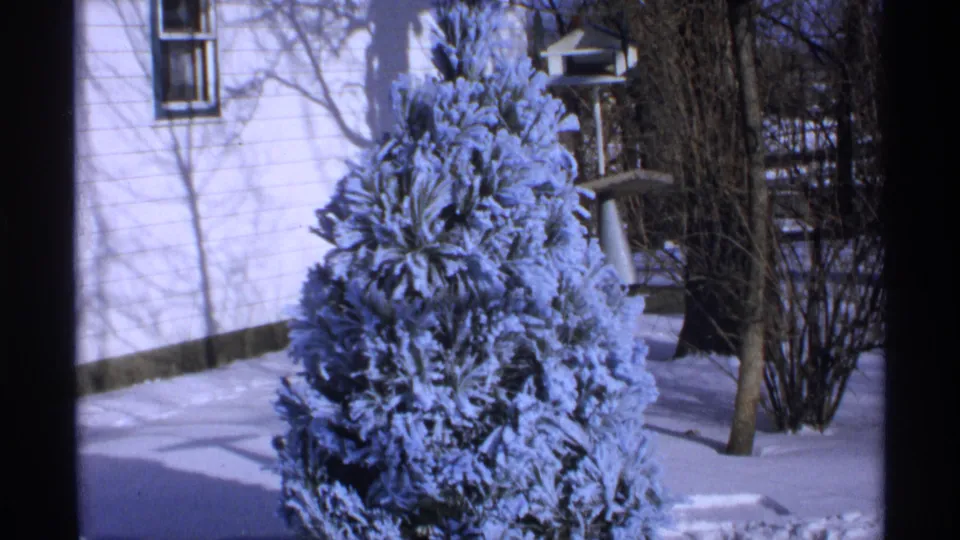 1971 Wisconsin 8mm frame showing an ice-coated evergreen in snow beside a white house and bare winter trees.