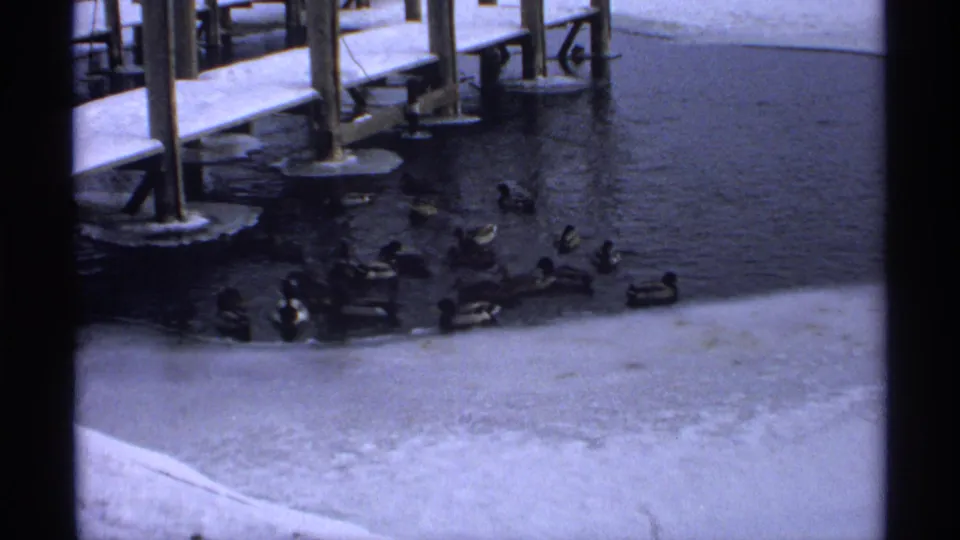 1971 Wisconsin 8mm frame showing ducks gathered in open lake water below a snow-covered wooden pier.