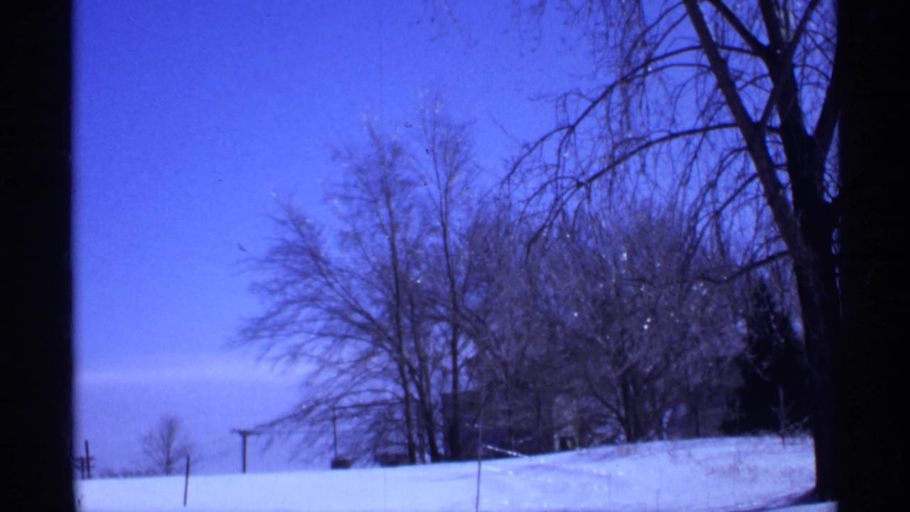 Snow-covered ground with leafless trees and a dark trunk under a blue sky.