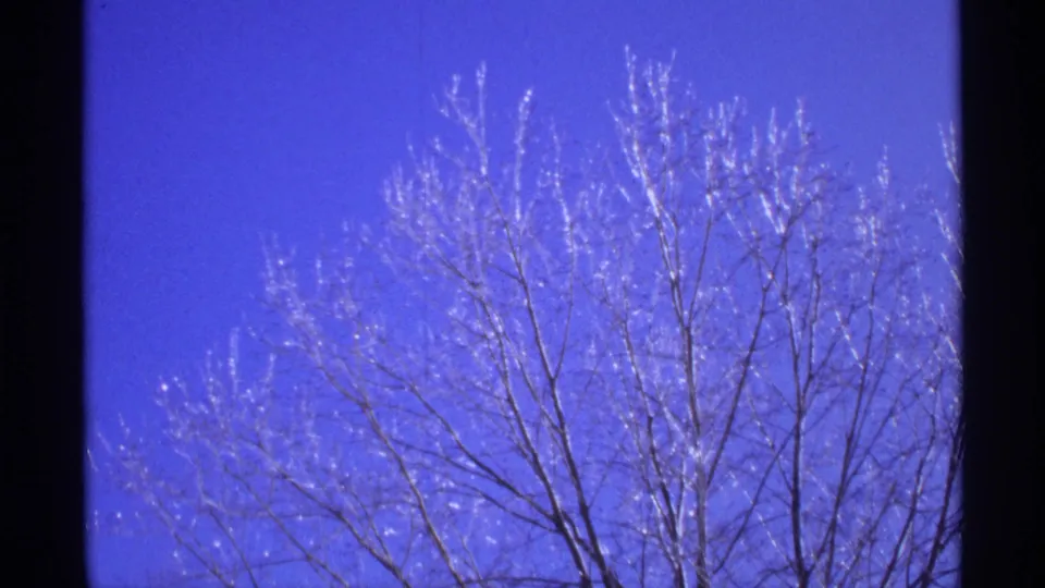 1971 Wisconsin 8mm frame with a close view of winter tree branches, soft grain, and strong blue color cast.