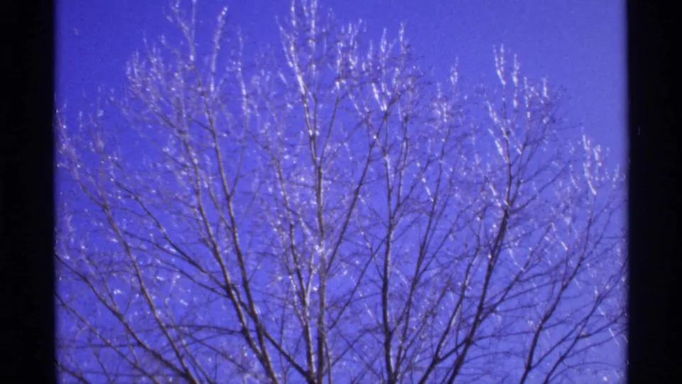 1971 Wisconsin 8mm frame showing leafless tree branches glistening with frost against a saturated blue winter sky.