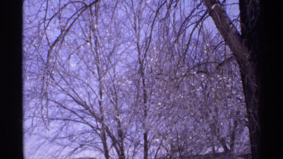 1971 Wisconsin home-movie frame of dense frost-covered branches, with a darker trunk along the right side and pale sky behind.