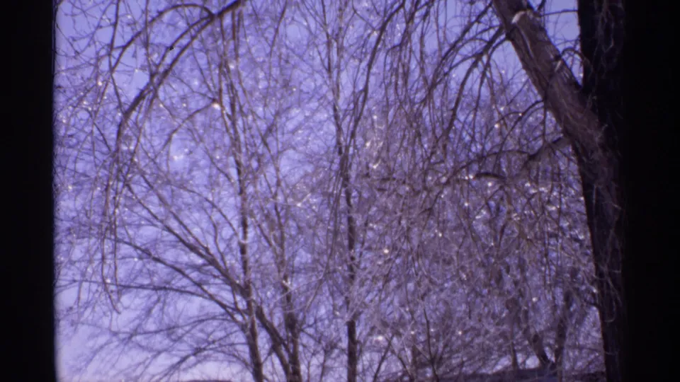 The final 8mm frame holds on frost-lined winter branches and a dark trunk, with the Wisconsin 1971 setting coming from clip metadata.