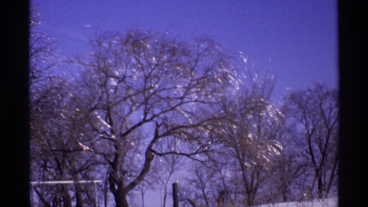 Leafless winter trees against a purple-blue sky with snow at the lower edge.