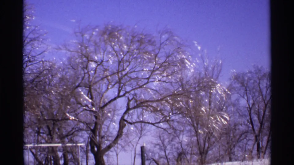 1971 Wisconsin 8mm view of winter trees swaying slightly, with ice highlights and snow below.