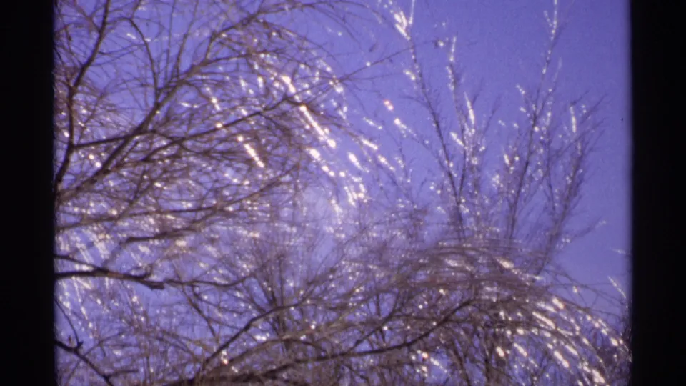 1971 Wisconsin 8mm frame with a closer view of sunlit icy branches and bare winter trees.