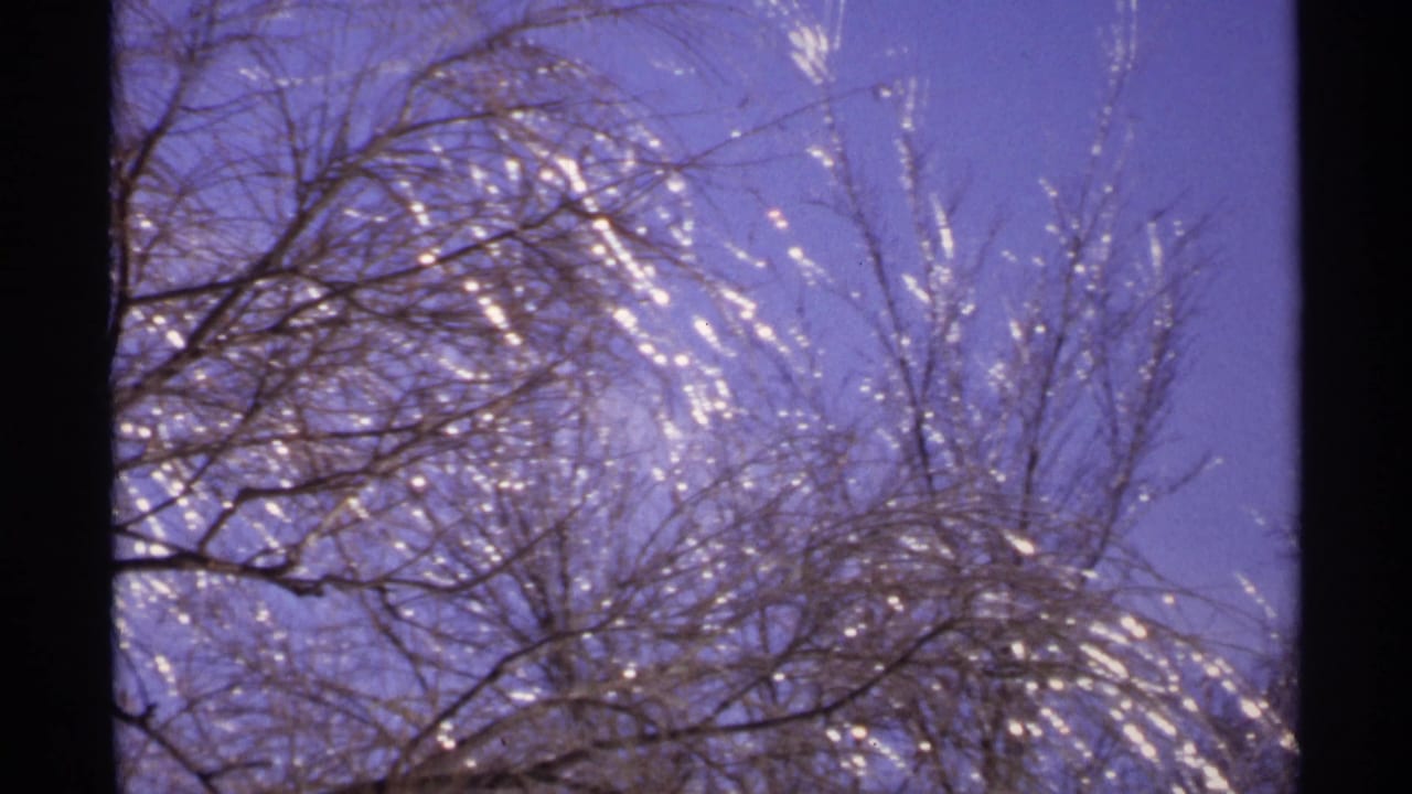 Frost-coated bare tree branches against a purple-blue sky with dark 8mm borders.