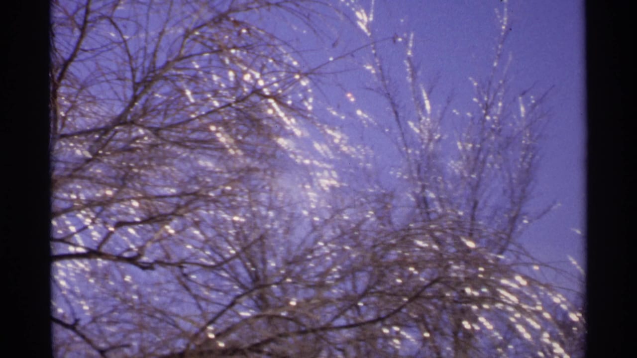 Bare icy branches fill the frame beneath a deep purple-blue sky.