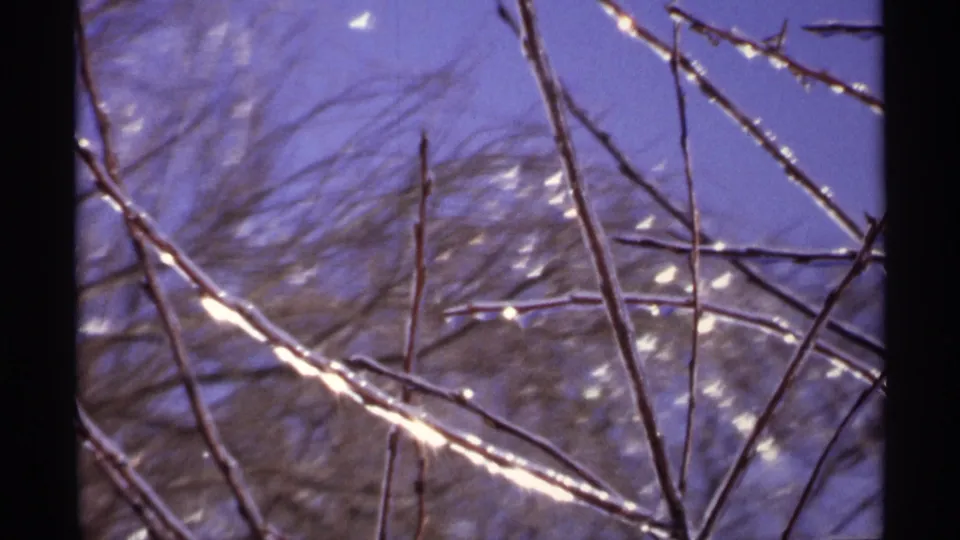 1971 Wisconsin 8mm close-up of icy twigs and soft, blurred winter trees beyond.