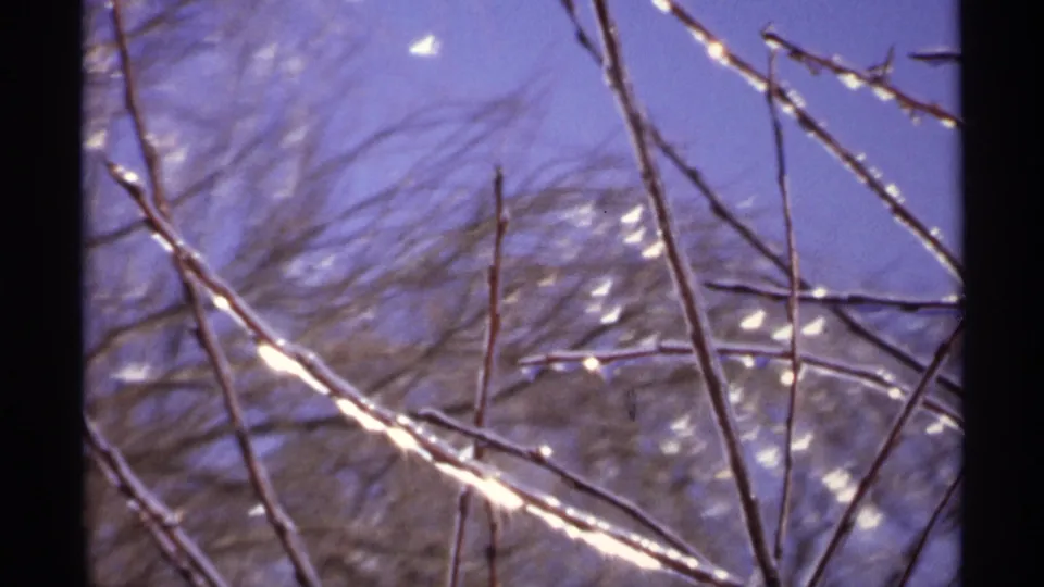 1971 Wisconsin 8mm frame with frost-lit twigs in front of softly blurred bare trees.