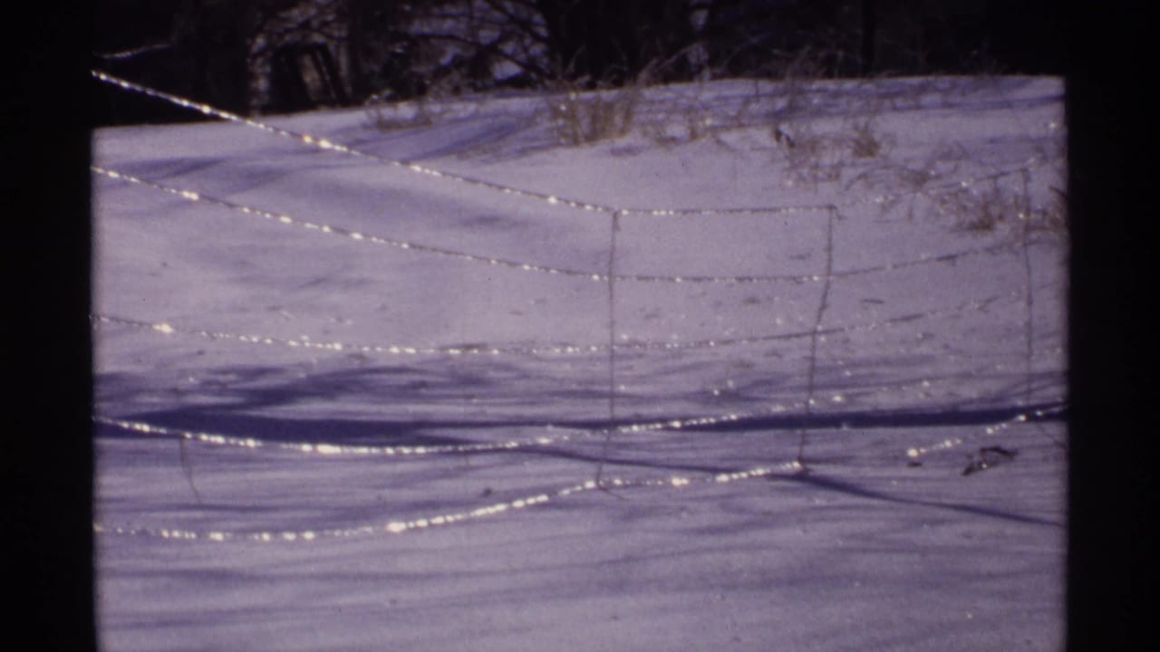 Snowy field with an ice-glinting barbed wire fence and dark tree line.