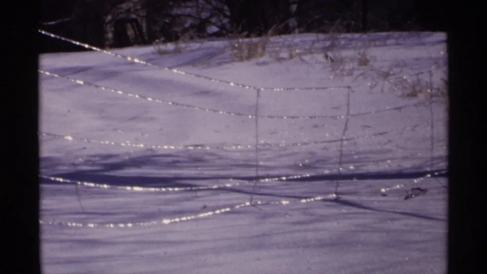 1971 Wisconsin winter frame with a barbed wire fence crossing snow-covered ground under bare trees.