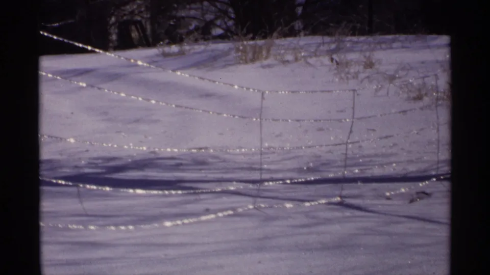 1971 Wisconsin 8mm frame showing an ice-coated fence line over snow, with bare trees and brush in the background.