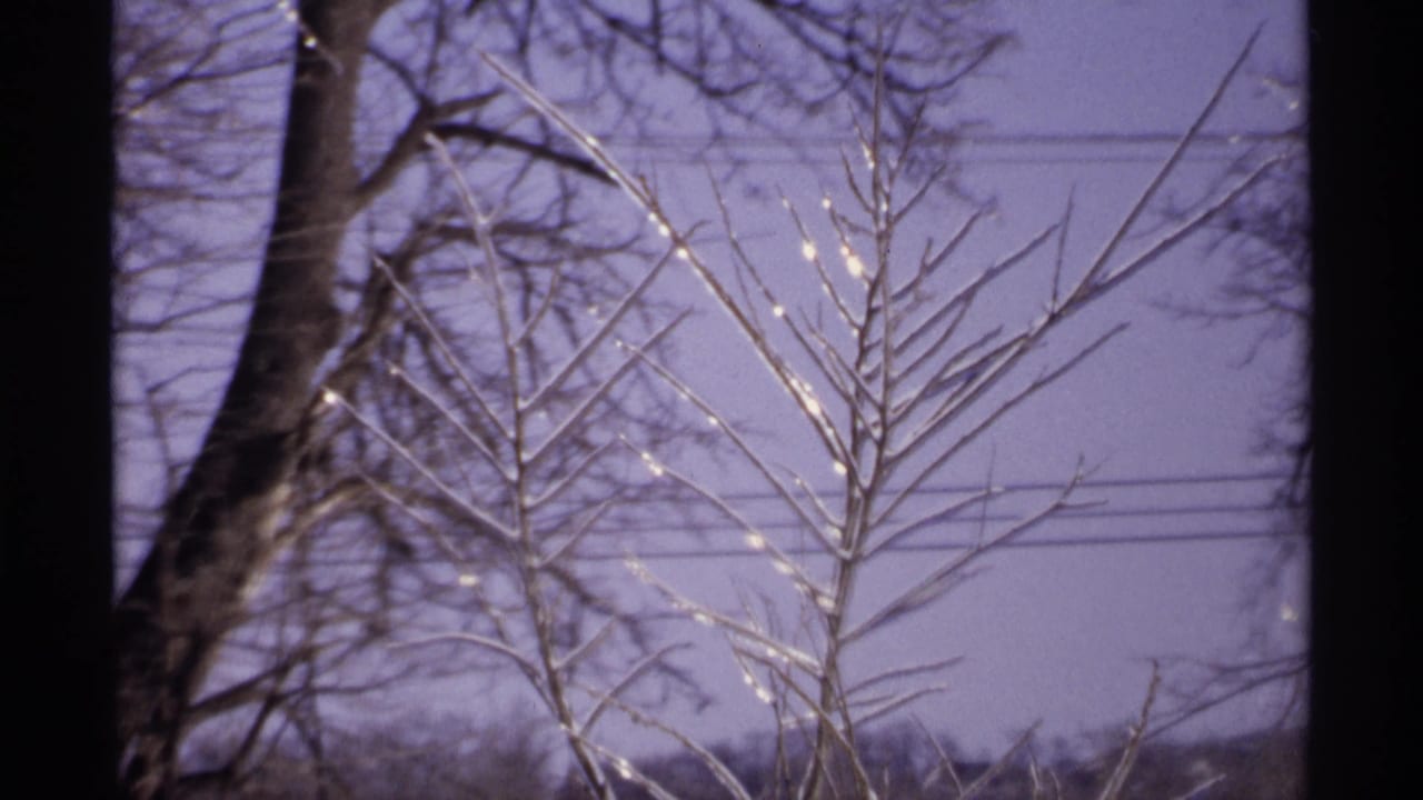 1971 Wisconsin home-movie view of frozen branches glinting in the sun, framed by dark trunks and a pale purple sky.