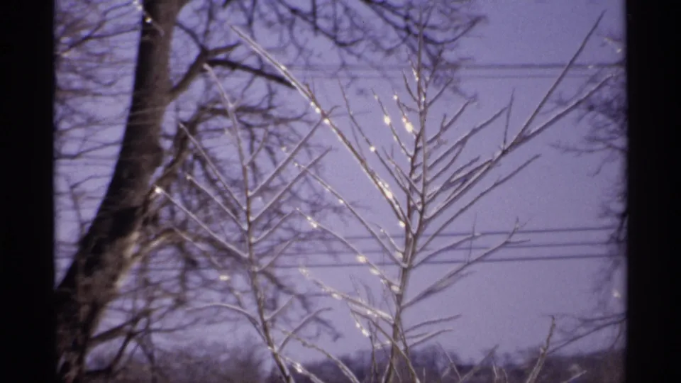 1971 Wisconsin home-movie view of frozen branches glinting in the sun, framed by dark trunks and a pale purple sky.