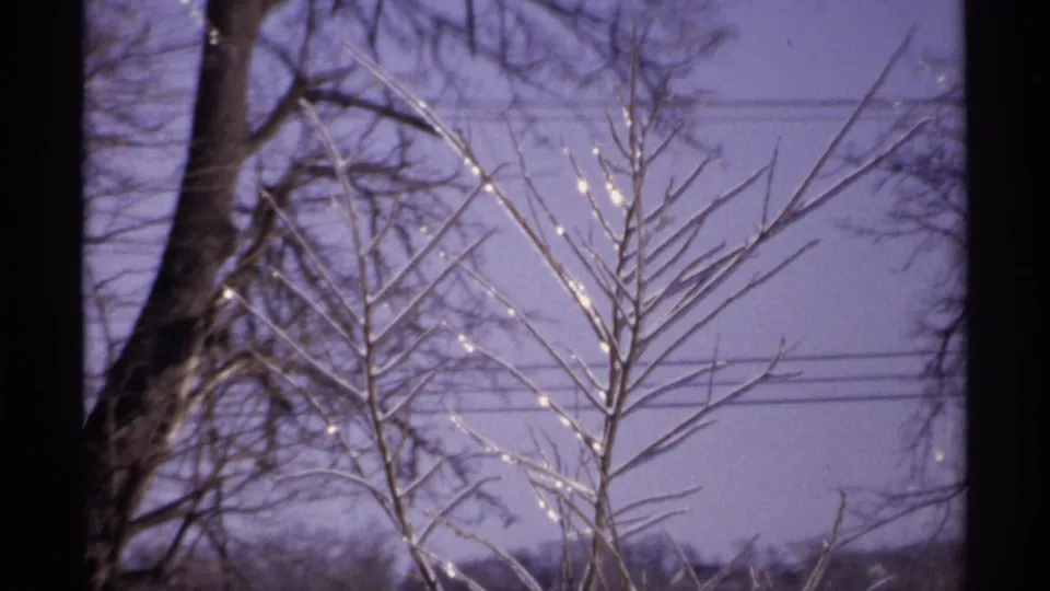 1971 Wisconsin 8mm still showing delicate ice on leafless branches, dark tree trunks, and faint utility lines in a winter setting.