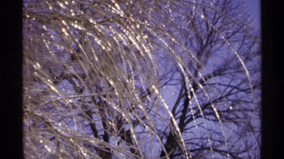 1971 Wisconsin winter frame with a closer cluster of ice-coated branches sparkling against leafless trees and purple-tinted sky.
