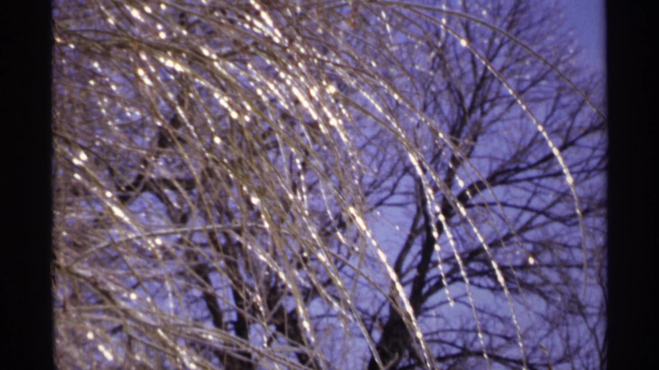 1971 Wisconsin 8mm frame of glistening bare tree limbs crossing a purple-blue winter sky.