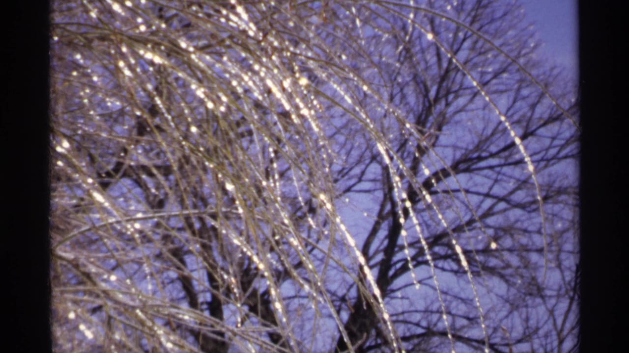 Bare icy tree limbs and dark trunks silhouetted against a blue sky.