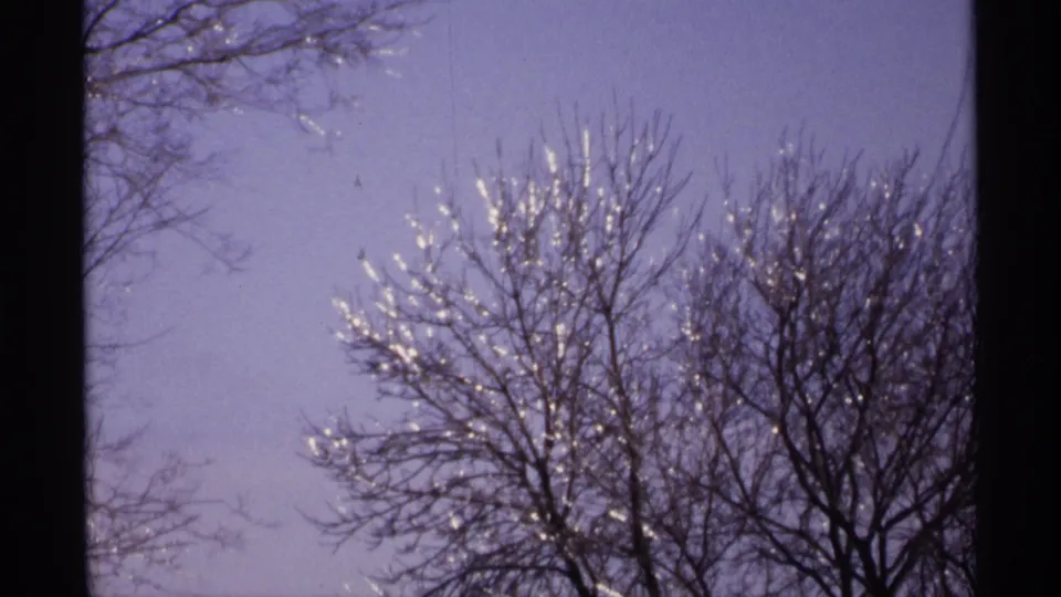 1971 Wisconsin home-movie frame of bare treetops with icy highlights beneath a purple-blue sky.
