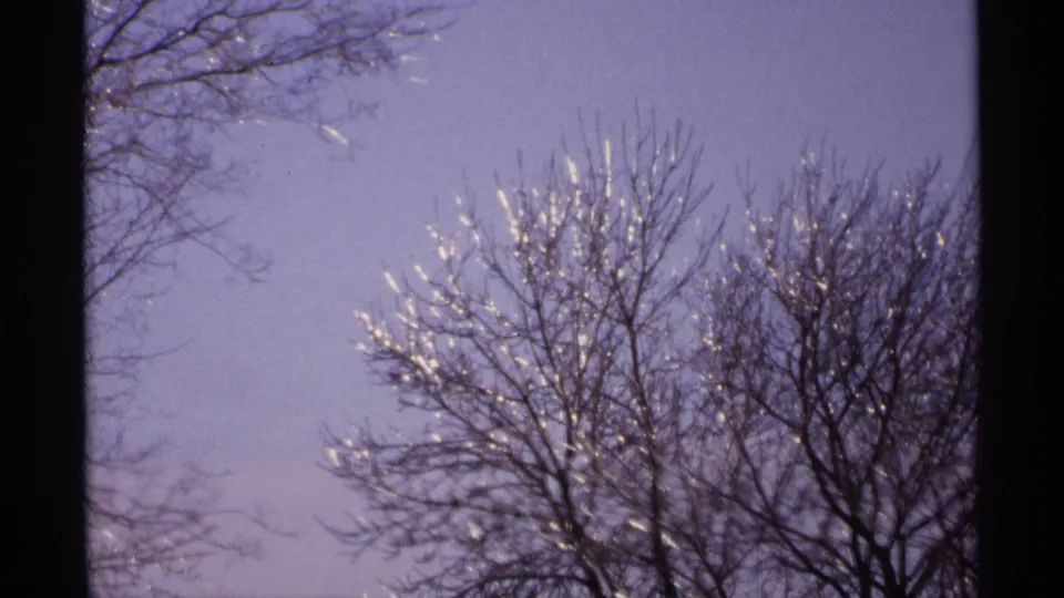 Wisconsin 1971 8mm frame showing bare trees with glinting icy branches against a pale winter sky.