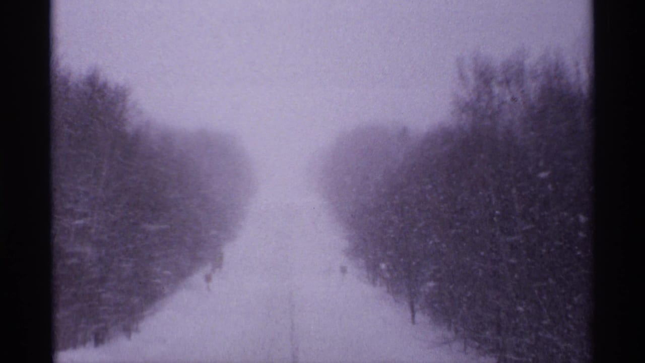 Snow-covered road through dark trees during heavy snowfall.