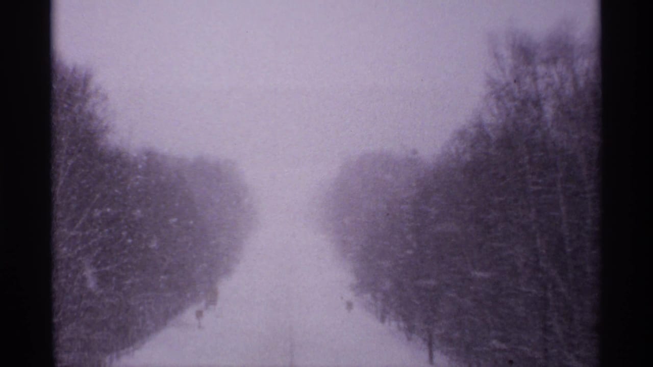 Wooded winter road in the Ironwood, Michigan snowstorm clip, with visibility reduced by falling snow.