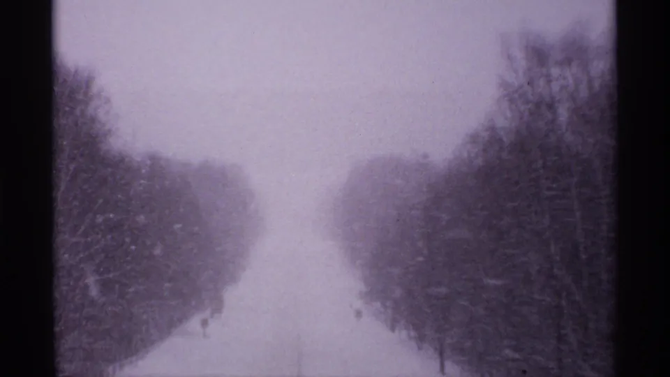 Wooded winter road in the Ironwood, Michigan snowstorm clip, with visibility reduced by falling snow.