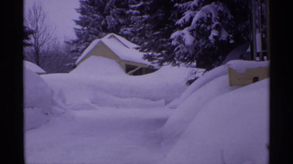 1971 Wisconsin frame looking across a backyard where snowdrifts nearly cover a small shed below evergreen branches.