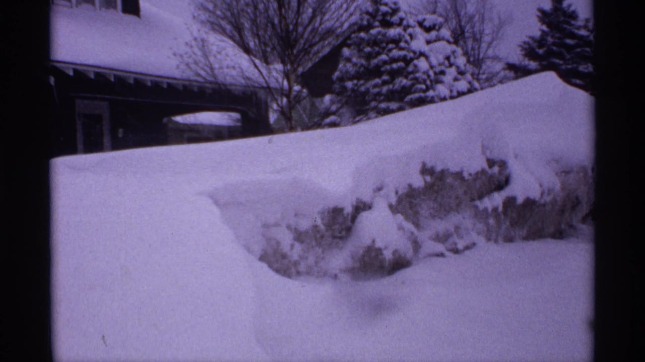 Deep snowbank beside a snow-covered house and trees.