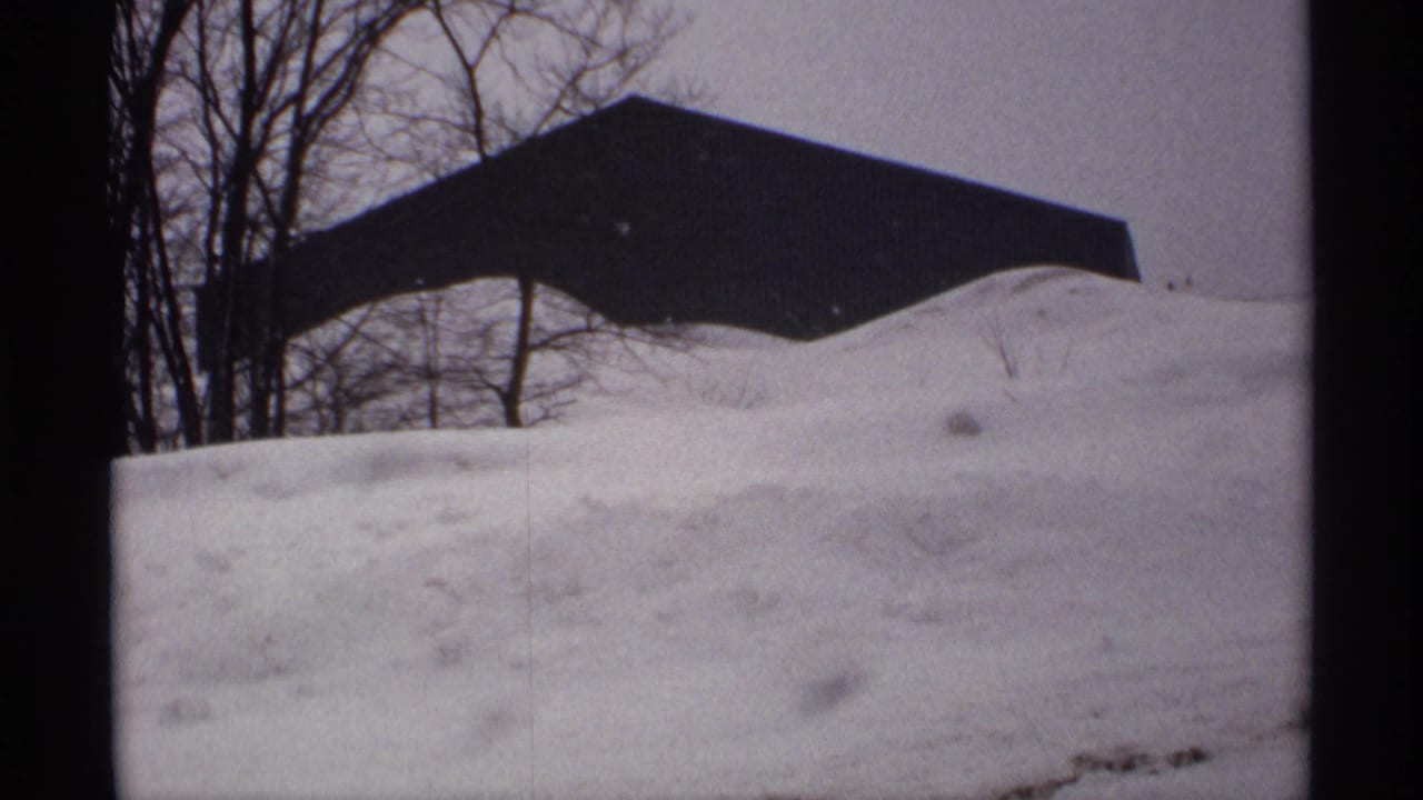 Snowbank in front of a dark-roofed house and bare winter trees.