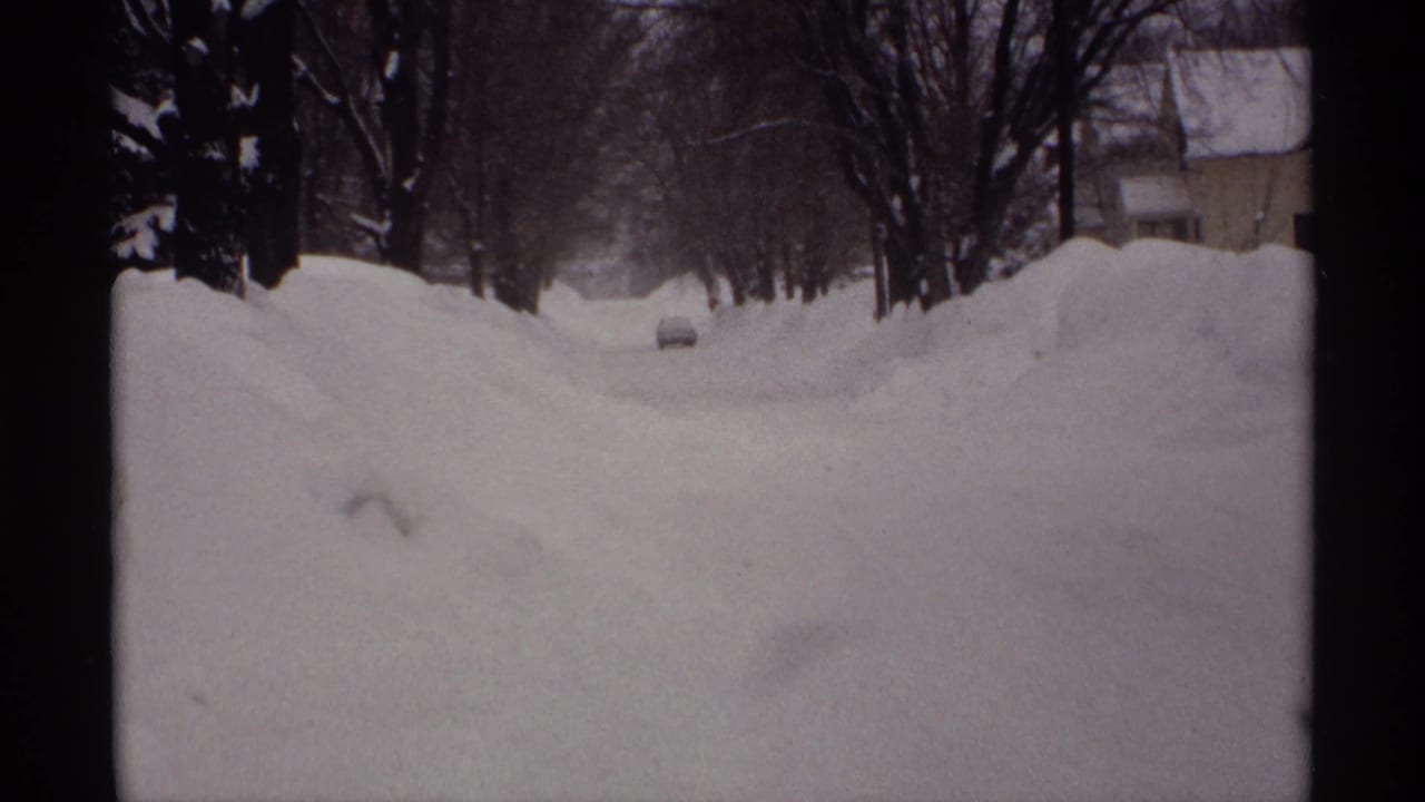 Snowy tree-lined street with a small car ahead and houses partly visible.