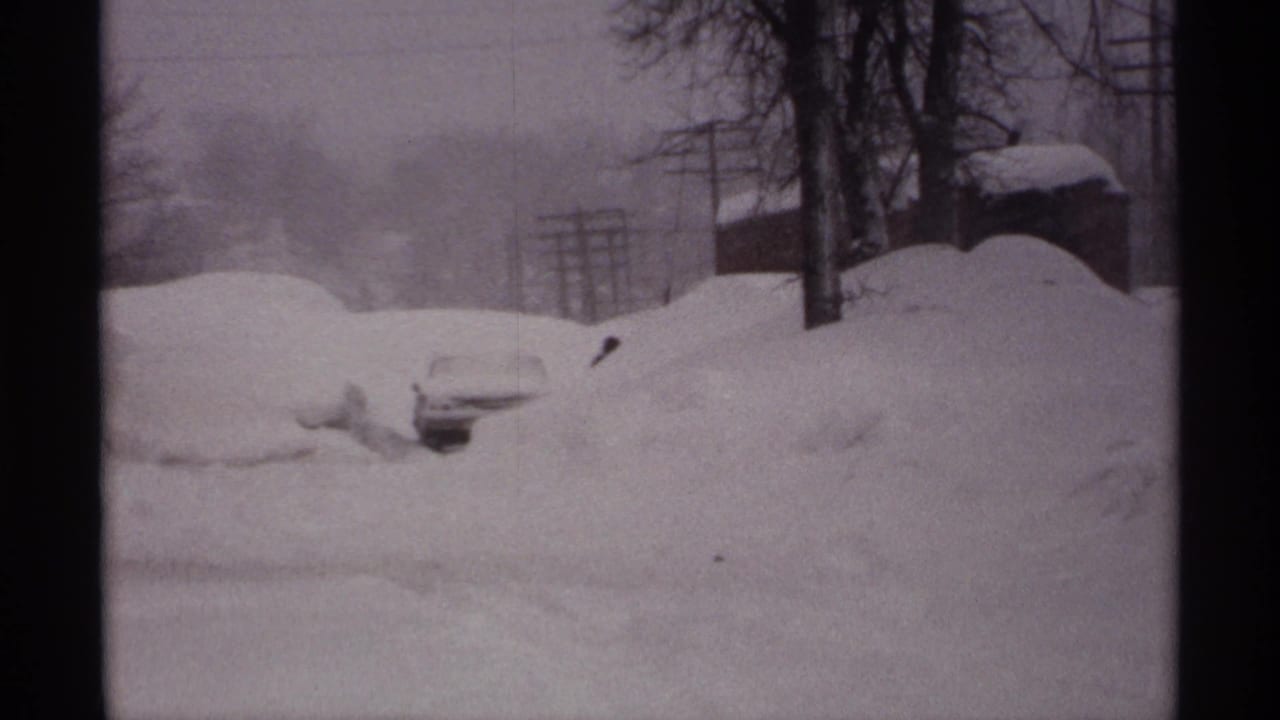 Snow-covered residential street with buried cars, utility poles, bare trees, and houses in the distance.