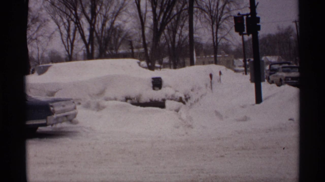 Snow-buried parked cars beside a winter street with traffic lights and bare trees.
