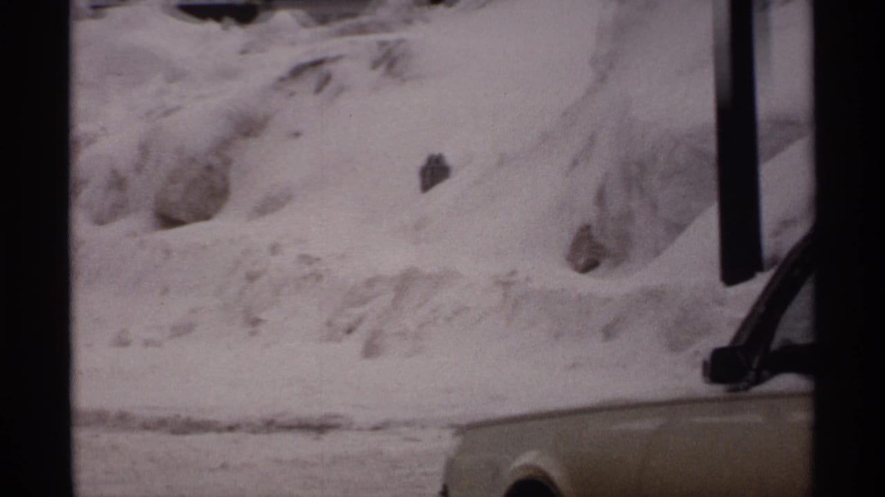 Snow piled along a roadside with dark posts and the front portion of a car at the right edge.