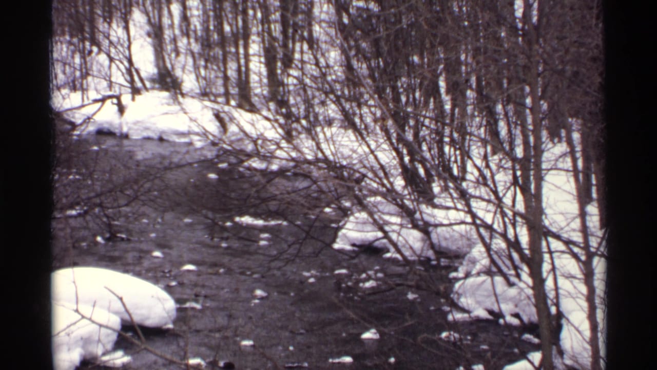 Snowy riverbank with dark water, ice patches, bare branches, and leafless trees.