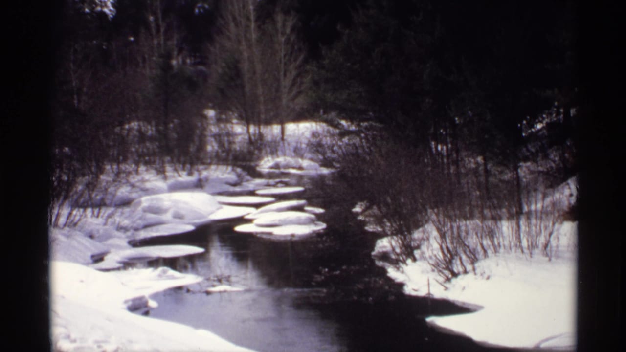 Partially frozen river bordered by snow, shrubs, and dark trees in winter.